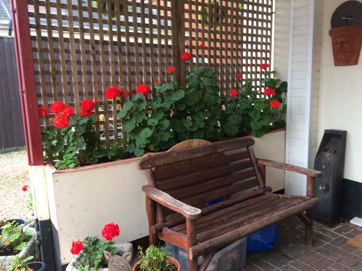 Southcombe Guesthouse Sidmouth Ngoại thất bức ảnh
